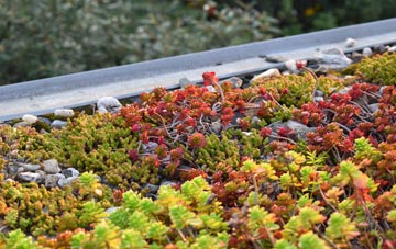 the cost of Pawlett green roof installation